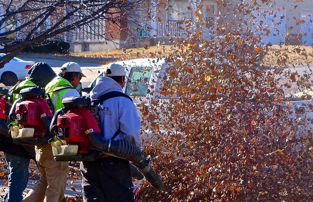 group of men using leaf blowers